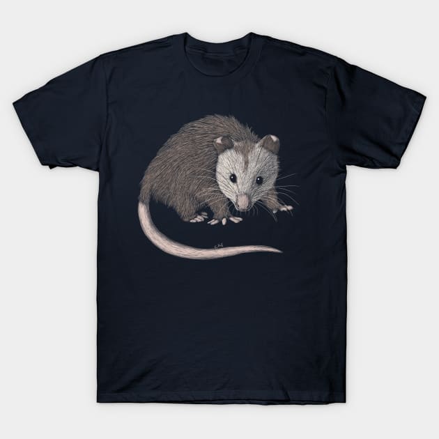 Opossum T-Shirt by Walking in Nature